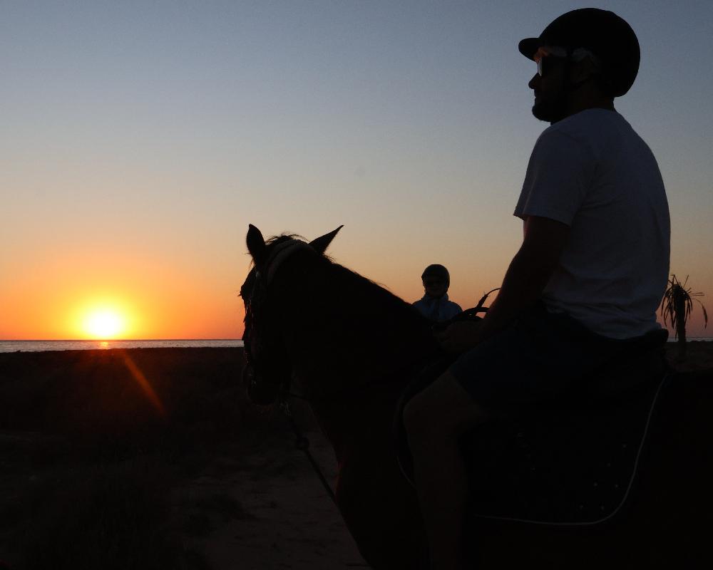 Équitation à Sidi Jmour : Cavale Sauvage face au Soleil Couchant à la Mer