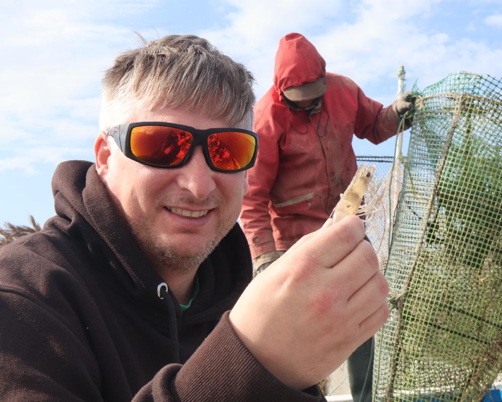 De la Mer à l'Assiette : L'Odyssée du Pêcheur et Saveurs de Houmt Souk