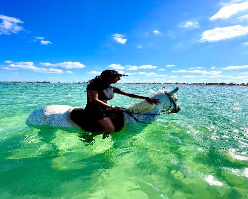 Équitation à Sidi Jmour : Cavale Sauvage face au Soleil Couchant à la Mer - photo 4