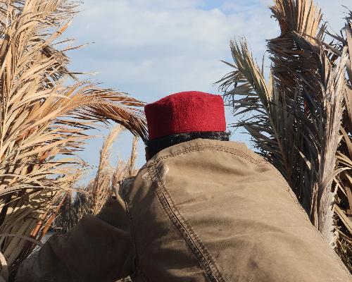 L'Âme du Pêcheur : Immersion dans les traditions maritimes de Djerba et petit-déjeuner authentique à bord - photo 2