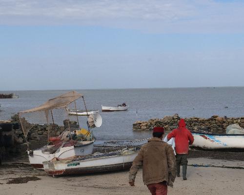 De la Mer à l'Assiette : L'Odyssée du Pêcheur et Saveurs de Houmt Souk - photo 2