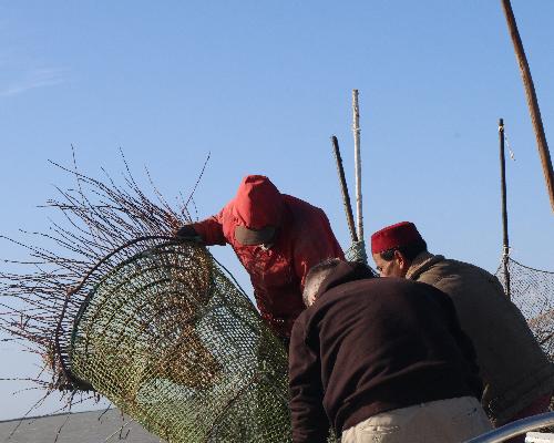 L'Âme du Pêcheur : Immersion dans les traditions maritimes de Djerba et petit-déjeuner authentique à bord - photo 3