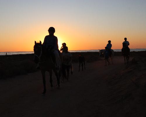 L'Éveil de l'Île : Balade Matinale sur le Sable d'Or de la zone touristique Midoun - photo 4