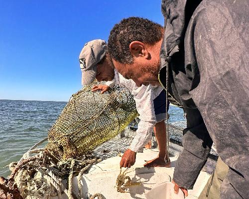 L'Âme du Pêcheur : Immersion dans les traditions maritimes de Djerba et petit-déjeuner authentique à bord - photo 5